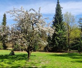 Ferienhaus Sommer Bild 9