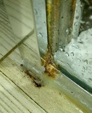 Bodey Olivier image 3