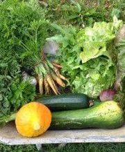 Le Jardin Adelis image 5