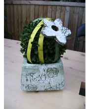 Blumen Grünert Bild 4