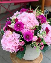 KALIS Fleurs Bild 11