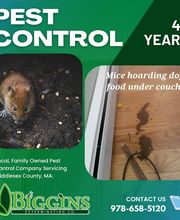 Biggins Exterminating image 14