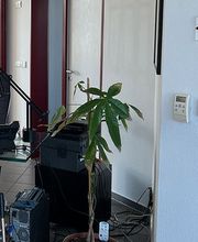 VOMA Assekuranz Versicherungsmakler GmbH Bild 4