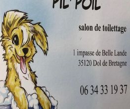 Pil Poil image 6