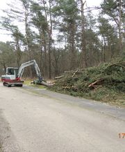 Boomverzorging Bouwmeester