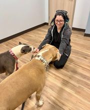 South Lake Vet image 9