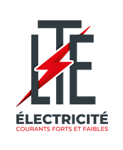 L. T. E image 2
