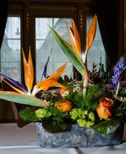 Götschi Hanspeter Bild 4