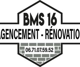 BMS 16 image 2