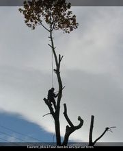 Laurent Bons image 2