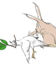 PR Design Roland Pfister Bild 12