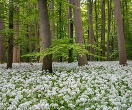 Naturfotografie - Photo-Martin - Fotograf in Chemnitz