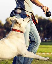 Gaschot Pension Familiale image 1