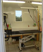 Amour De Toutou image 3