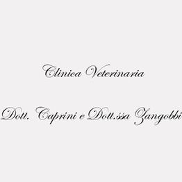 Clinica Veterinaria Caprini Dr. Davide e Zangobbi Dr.ssa Alessandra logo