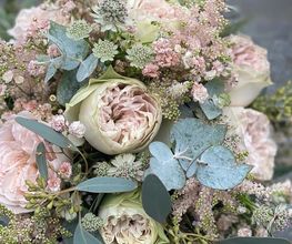 Blumen La Violetta Bild 3
