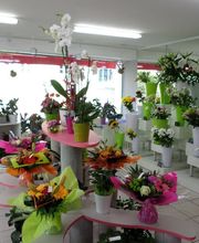 Aux Fleurs de l'Aulne image 14