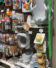 Orchestra CHOLET image 18