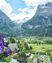 Hotel Spinne Bild 12