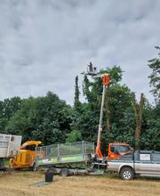 Cyprès des Hêtres image 4