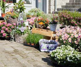 Gartenbau Drewes Bild 3
