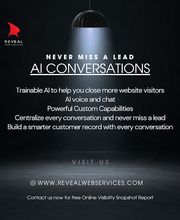 Reveal Web Services image 10