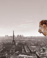 Assurance Generali - Jean Marc Ambrosino 2 image 1