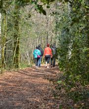 CENTRO DE RETIROS DE YOGA PIRINEO imagen 12