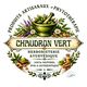 CHAUDRON VERT