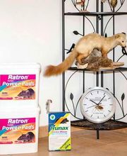 DELE Schädlingsbekämpfung GmbH Bild 12