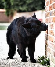 SH-Immo & partner Bild 5