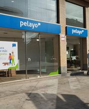 Oficina Seguros Pelayo imagen 4