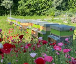 Crematorium Aigle SA Bild 1
