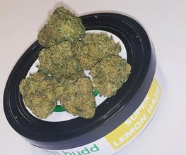 GREEN BUDD CBD PORNIC image 8