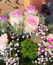 Blumen und Pflanzen Bild 3