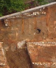 IN SITU SCP imagen 3