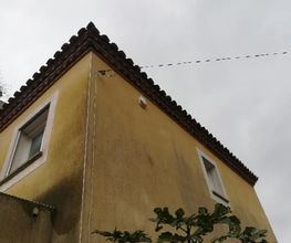 Absolu Maison Plus image 17