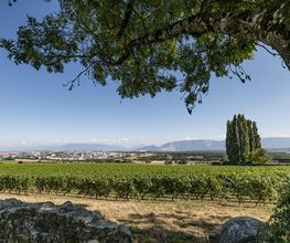 Domaine de Choully Bild 4