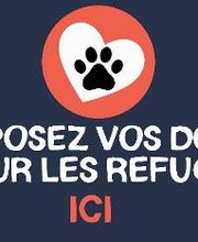 Tom&Co La Rochelle - Animalerie - Dog wash image 3