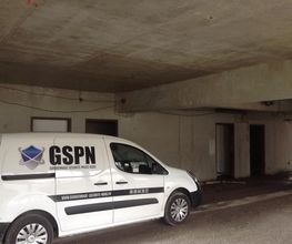 Gspn image 4
