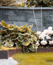 J. Uebelmann Gartengestaltung AG Bild 4