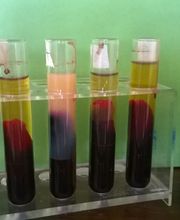 Hildegard von Bingen Berlin Daniela Dumann Heilpraktikerin Bild 3