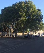 ELEONORE BRETAUDEAU image 4