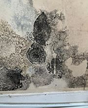 Co Expert image 6
