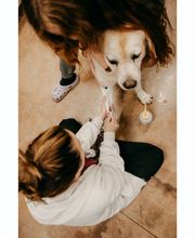 Stevenson Village Veterinary Hospital image 18