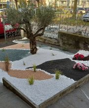 Vivai San Martino Bild 8