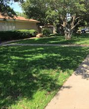Bautista Pros Landscaping and Irrigation image 8