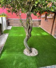 SELLACESPED imagen 12