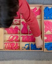 Ecole Montessori La Marelle Bild 9