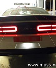 Mustang EU imagen 10